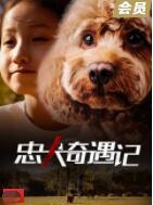 忠犬奇遇记(全集)