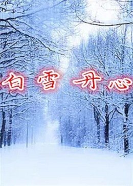 白雪丹心(大结局)